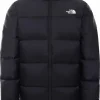 Coupon 👏 VESTE Homme THE NORTH FACE DIABLO DOWN 🔥 19