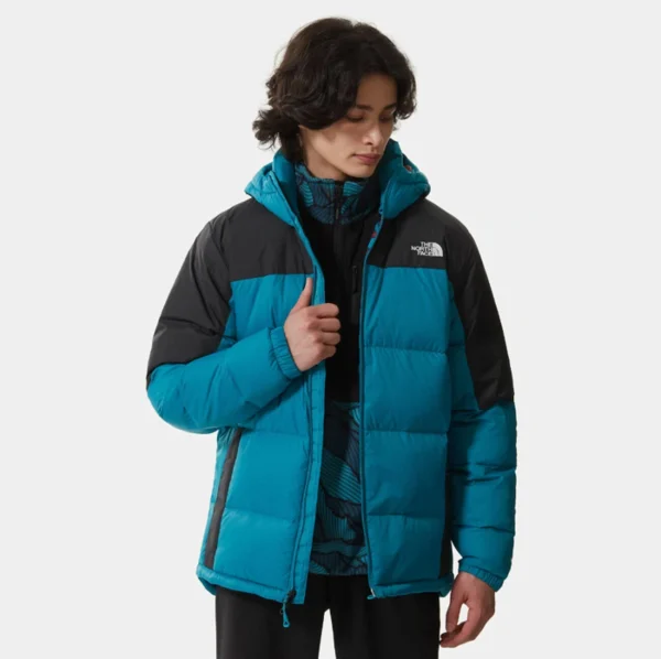 Le moins cher 🧨 VESTE Homme THE NORTH FACE DIABLO DOWN ✨ 1