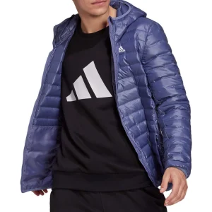 Bon marché 😉 All Mountain Homme Adidas Varilite Ho Jkt VIOLET 🥰 12
